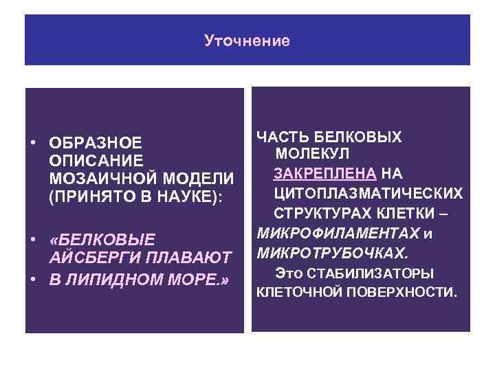 Уточнение • ОБРАЗНОЕ ОПИСАНИЕ МОЗАИЧНОЙ МОДЕЛИ (ПРИНЯТО В НАУКЕ): • «БЕЛКОВЫЕ АЙСБЕРГИ ПЛАВАЮТ •