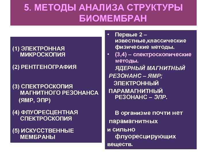 5. МЕТОДЫ АНАЛИЗА СТРУКТУРЫ БИОМЕМБРАН (1) ЭЛЕКТРОННАЯ МИКРОСКОПИЯ (2) РЕНТГЕНОГРАФИЯ (3) СПЕКТРОСКОПИЯ МАГНИТНОГО РЕЗОНАНСА