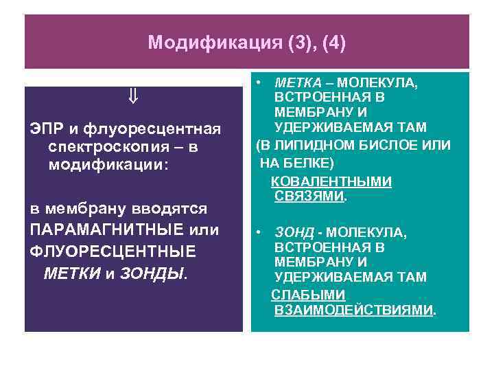 Модификация (3), (4) ЭПР и флуоресцентная спектроскопия – в модификации: в мембрану вводятся ПАРАМАГНИТНЫЕ