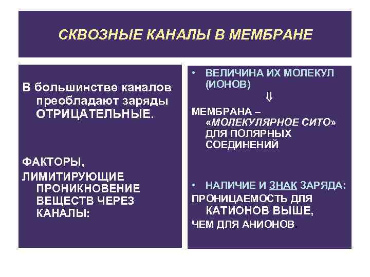 СКВОЗНЫЕ КАНАЛЫ В МЕМБРАНЕ В большинстве каналов преобладают заряды ОТРИЦАТЕЛЬНЫЕ. ФАКТОРЫ, ЛИМИТИРУЮЩИЕ ПРОНИКНОВЕНИЕ ВЕЩЕСТВ