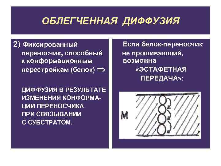 ОБЛЕГЧЕННАЯ ДИФФУЗИЯ 2) Фиксированный переносчик, способный к конформационным перестройкам (белок) ДИФФУЗИЯ В РЕЗУЛЬТАТЕ ИЗМЕНЕНИЯ