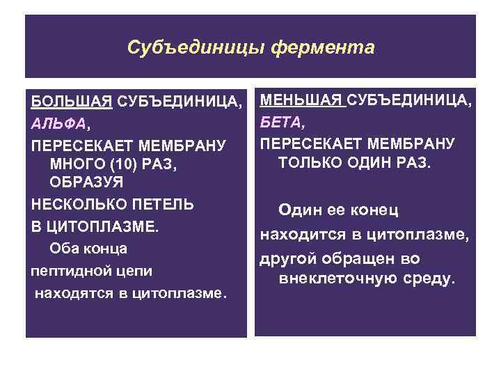 Субъединицы фермента БОЛЬШАЯ СУБЪЕДИНИЦА, АЛЬФА, ПЕРЕСЕКАЕТ МЕМБРАНУ МНОГО (10) РАЗ, ОБРАЗУЯ НЕСКОЛЬКО ПЕТЕЛЬ В