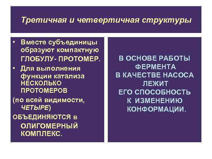 Третичная и четвертичная структуры • Вместе субъединицы образуют компактную ГЛОБУЛУ- ПРОТОМЕР. • Для выполнения