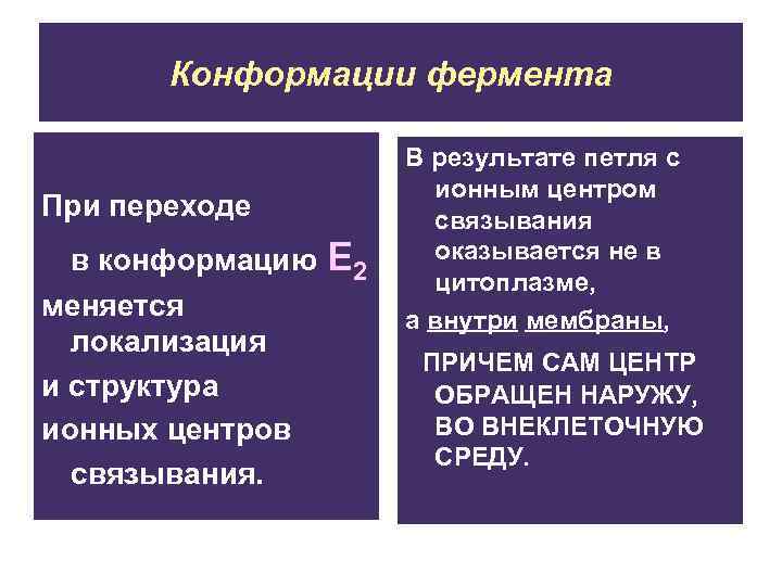 Конформации фермента При переходе в конформацию меняется локализация и структура ионных центров связывания. E