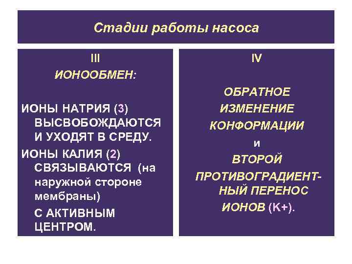 Стадии работы насоса III ИОНООБМЕН: ИОНЫ НАТРИЯ (3) ВЫСВОБОЖДАЮТСЯ И УХОДЯТ В СРЕДУ. ИОНЫ