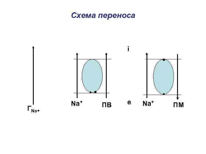 Схема переноса i . . . ГNa+ . ПВ e Na+ ПМ 