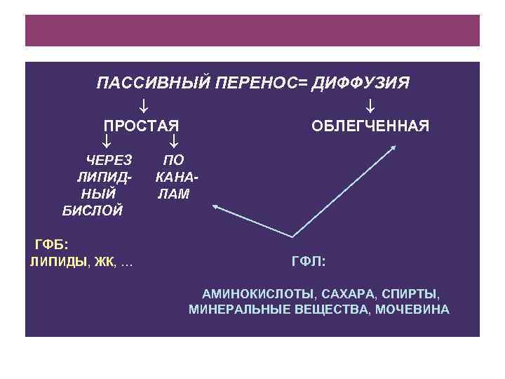 ПАССИВНЫЙ ПЕРЕНОС= ДИФФУЗИЯ ПРОСТАЯ ОБЛЕГЧЕННАЯ ЧЕРЕЗ ЛИПИДНЫЙ БИСЛОЙ ПО КАНАЛАМ ГФБ: ЛИПИДЫ, ЖК, …