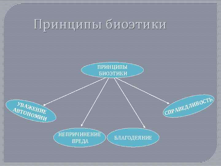 Состоит из двух составляющих. Принципы биоэтики. Основные принципы биоэтики. Главные принципы биоэтики. Один из основных принципов биоэтики.