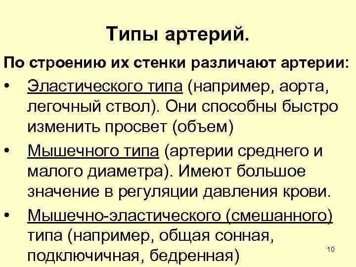 Артерии мышечно эластического типа