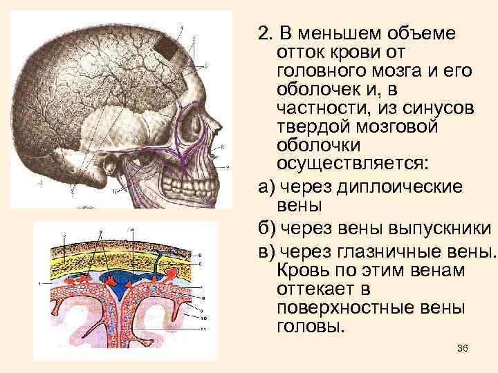 2. В меньшем объеме отток крови от головного мозга и его оболочек и, в