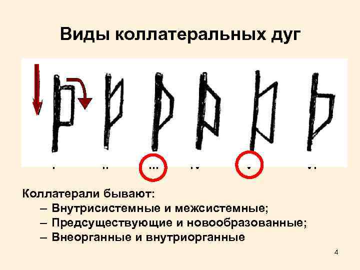 Виды коллатеральных дуг I II III* IV V** VI Коллатерали бывают: – Внутрисистемные и