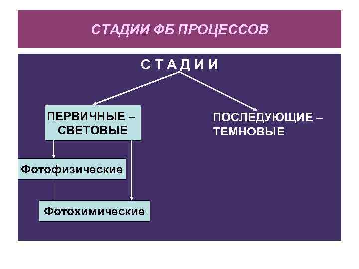 СТАДИИ ФБ ПРОЦЕССОВ СТАДИИ ПЕРВИЧНЫЕ – СВЕТОВЫЕ Фотофизические Фотохимические ПОСЛЕДУЮЩИЕ – ТЕМНОВЫЕ 