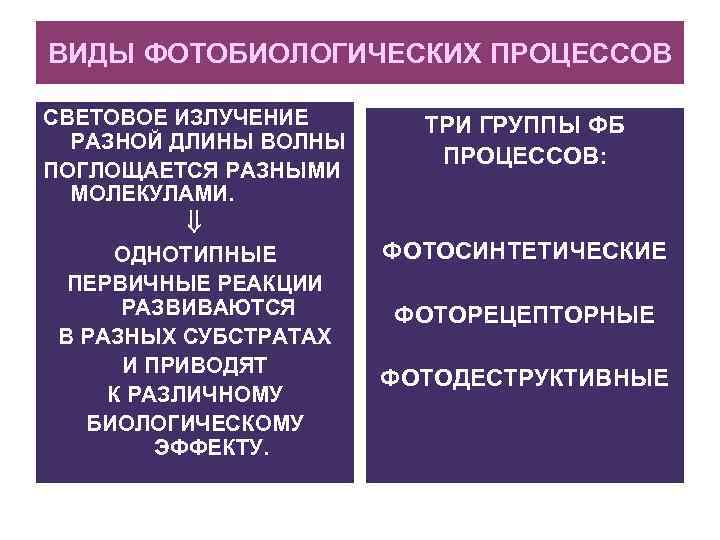 ВИДЫ ФОТОБИОЛОГИЧЕСКИХ ПРОЦЕССОВ СВЕТОВОЕ ИЗЛУЧЕНИЕ РАЗНОЙ ДЛИНЫ ВОЛНЫ ПОГЛОЩАЕТСЯ РАЗНЫМИ МОЛЕКУЛАМИ. ОДНОТИПНЫЕ ПЕРВИЧНЫЕ РЕАКЦИИ