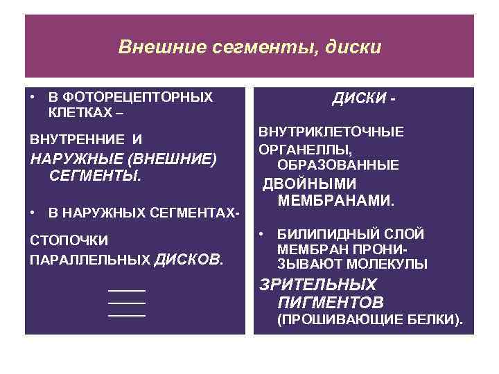 Внешние сегменты, диски • В ФОТОРЕЦЕПТОРНЫХ КЛЕТКАХ – ВНУТРЕННИЕ И НАРУЖНЫЕ (ВНЕШНИЕ) СЕГМЕНТЫ. •