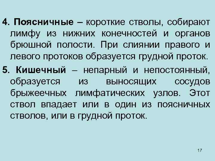 4. Поясничные – короткие стволы, собирают лимфу из нижних конечностей и органов брюшной полости.