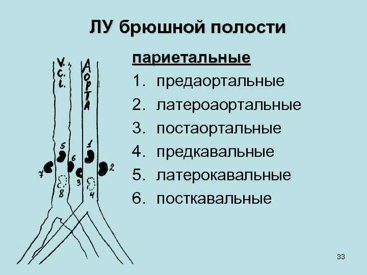 ЛУ брюшной полости париетальные 1. предаортальные 2. латероаортальные 3. постаортальные 4. предкавальные 5. латерокавальные