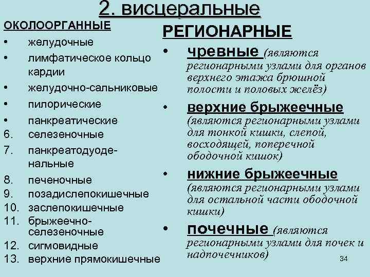 2. висцеральные ОКОЛООРГАННЫЕ РЕГИОНАРНЫЕ • желудочные чревные (являются • лимфатическое кольцо • регионарными узлами