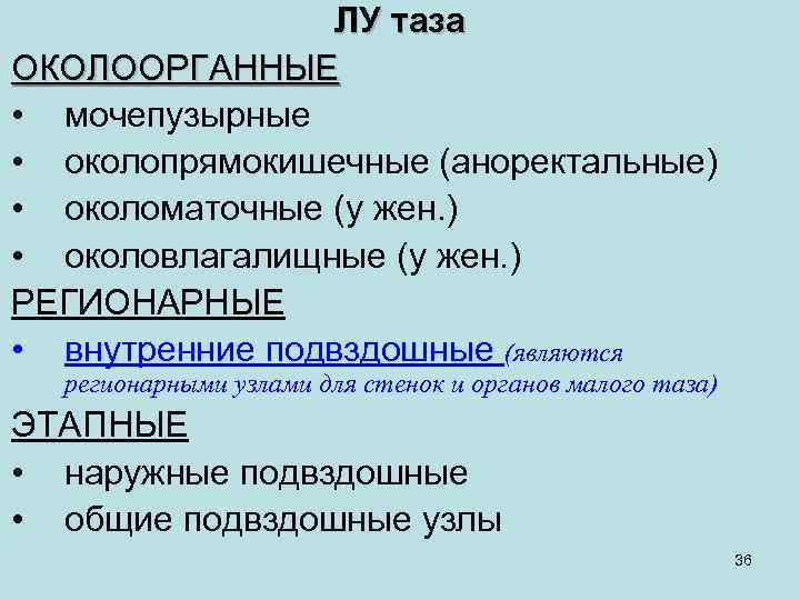 ЛУ таза ОКОЛООРГАННЫЕ • мочепузырные • околопрямокишечные (аноректальные) • околоматочные (у жен. ) •