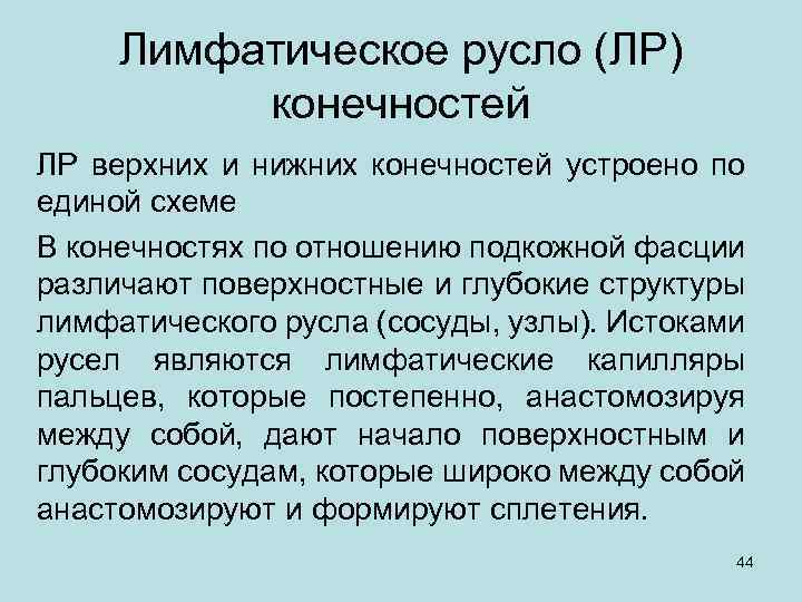 Лимфатическое русло (ЛР) конечностей ЛР верхних и нижних конечностей устроено по единой схеме В