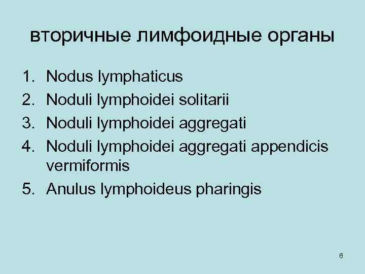 вторичные лимфоидные органы 1. 2. 3. 4. Nodus lymphaticus Noduli lymphoidei solitarii Noduli lymphoidei