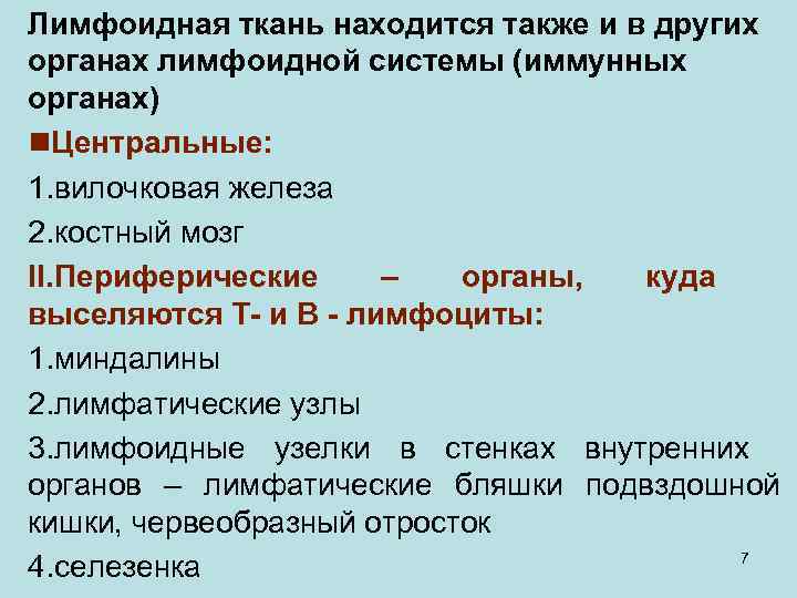 Лимфоидная ткань находится также и в других органах лимфоидной системы (иммунных органах) n. Центральные: