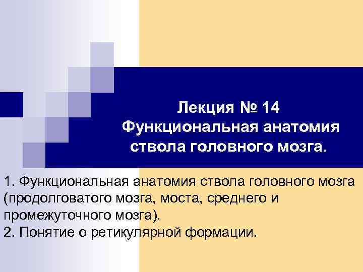 Лекция № 14 Функциональная анатомия ствола головного мозга. 1. Функциональная анатомия ствола головного мозга