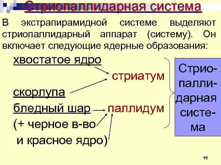 Стриопаллидарная система В экстрапирамидной системе выделяют стриопаллидарный аппарат (систему). Он включает следующие ядерные образования: