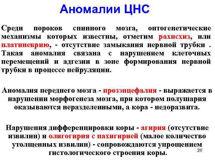 Аномалии ЦНС Заключение спинного мозга, онтогенетические Среди пороков механизмы которых известны, отметим рахисхиз, или