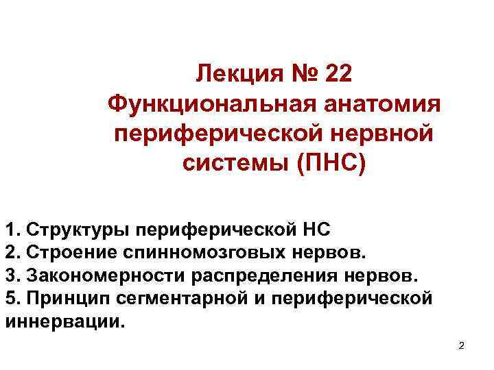 Лекция № 22 Функциональная анатомия периферической нервной системы (ПНС) 1. Структуры периферической НС 2.