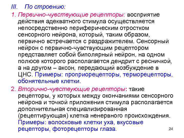 III. По строению: 1. Первично-чувствующие рецепторы: восприятие действия адекватного стимула осуществляется непосредственно периферическим отростком