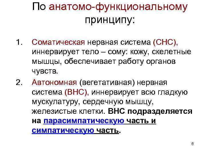 По анатомо-функциональному принципу: 1. 2. Соматическая нервная система (СНС), иннервирует тело – сому: кожу,
