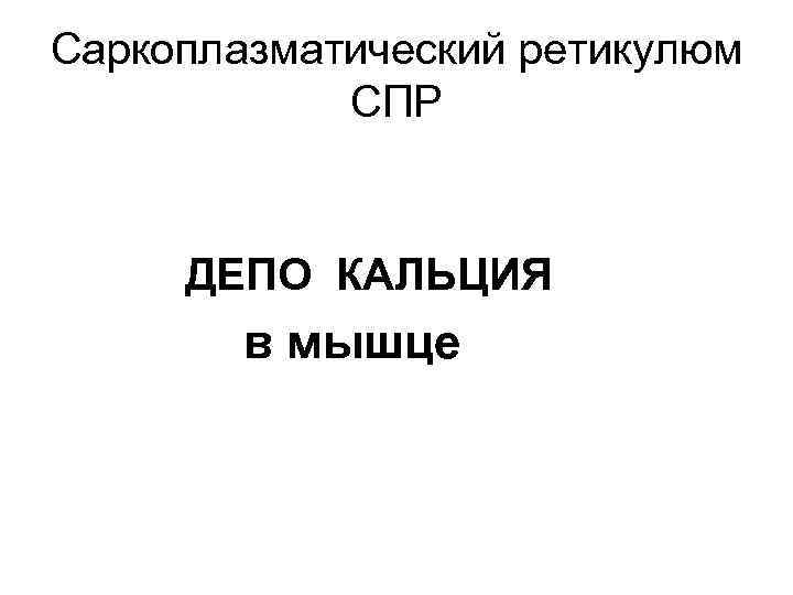 Саркоплазматический ретикулюм СПР ДЕПО КАЛЬЦИЯ в мышце 