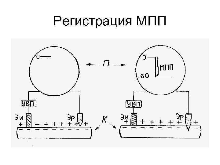 Регистрация МПП 