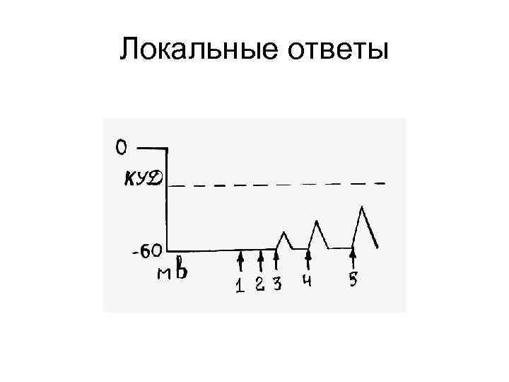 Локальные ответы 