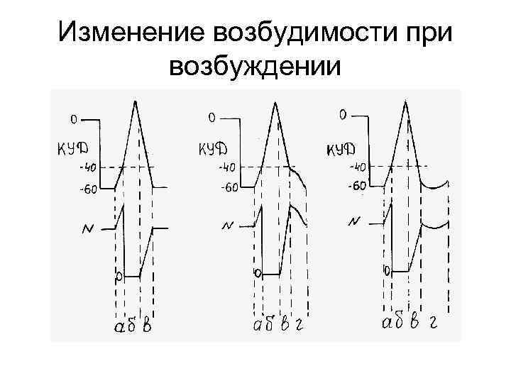 Изменение возбудимости при возбуждении 