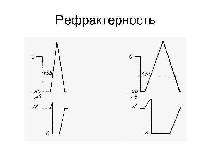 Рефрактерность 