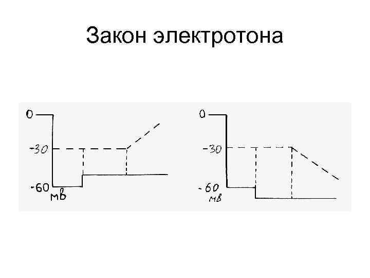 Закон электротона 