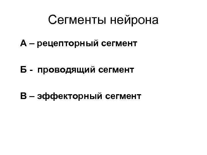 Сегменты нейрона А – рецепторный сегмент Б - проводящий сегмент В – эффекторный сегмент