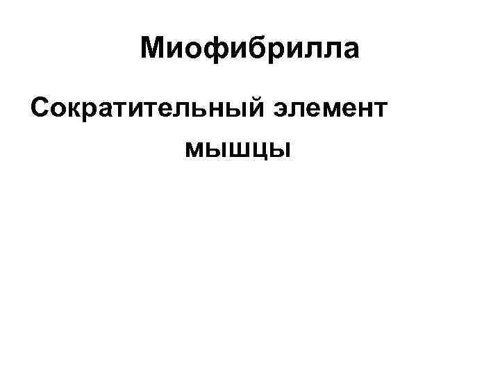 Миофибрилла Сократительный элемент мышцы 