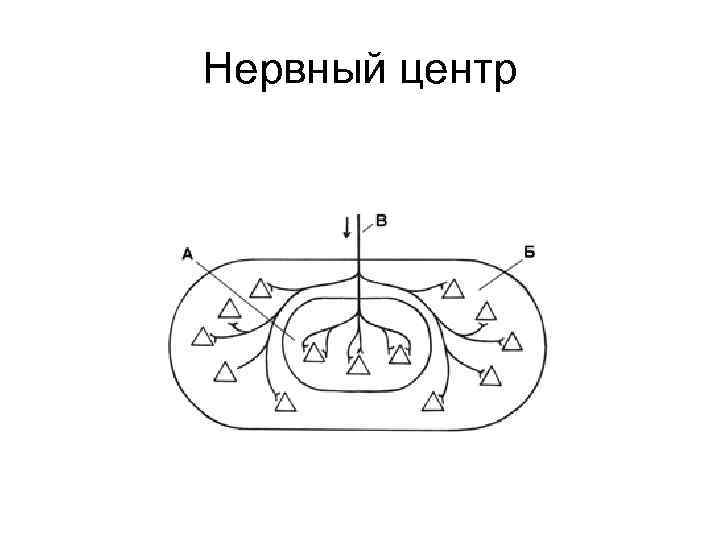Нервный центр 