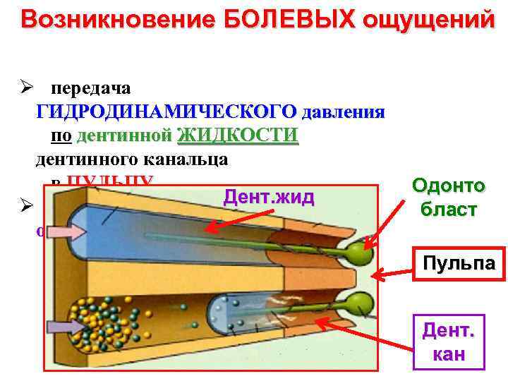 Возникновение ощущений схема