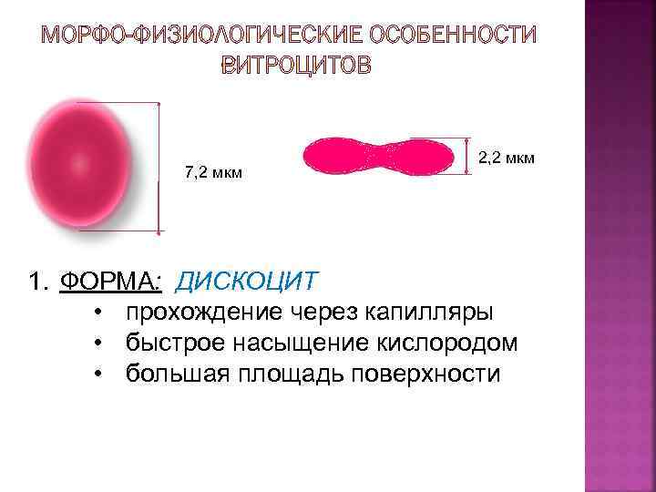 7, 2 мкм 2, 2 мкм 1. ФОРМА: ДИСКОЦИТ • прохождение через капилляры •