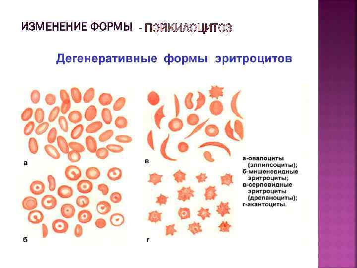 ИЗМЕНЕНИЕ ФОРМЫ 