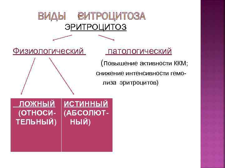 ЭРИТРОЦИТОЗ Физиологический патологический (повышение активности ККМ; снижение интенсивности гемолиза эритроцитов) ЛОЖНЫЙ ИСТИННЫЙ (ОТНОСИ- (АБСОЛЮТТЕЛЬНЫЙ)