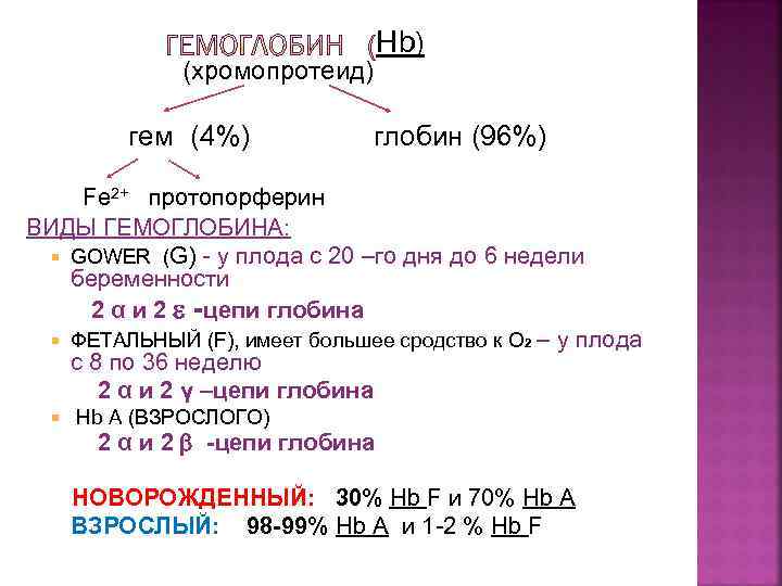 (хромопротеид) гем (4%) Hb) глобин (96%) Fe 2+ протопорферин ВИДЫ ГЕМОГЛОБИНА: GOWER (G) -