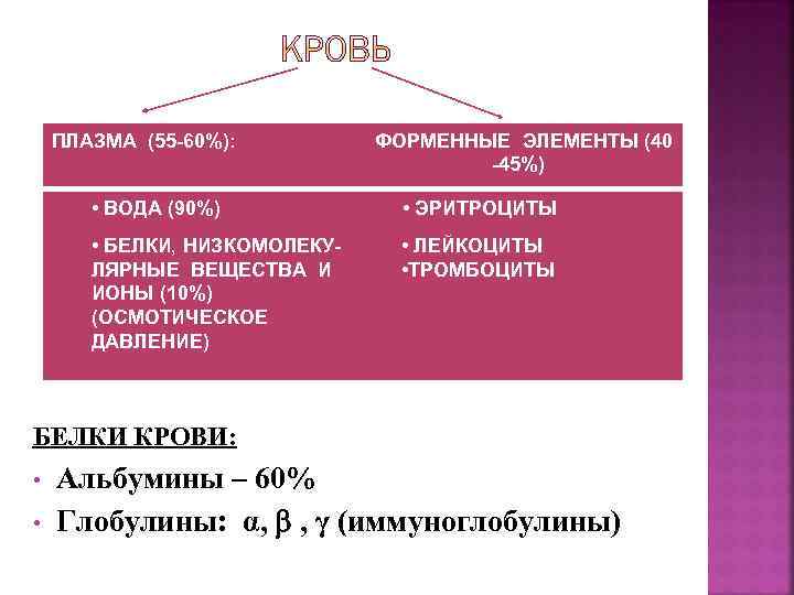 ПЛАЗМА (55 -60%): ФОРМЕННЫЕ ЭЛЕМЕНТЫ (40 -45%) • ВОДА (90%) • ЭРИТРОЦИТЫ • БЕЛКИ,