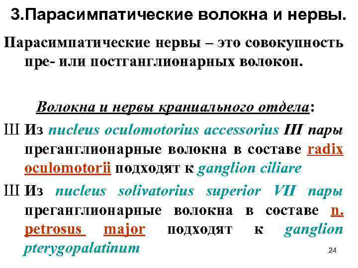 3. Парасимпатические волокна и нервы. Парасимпатические нервы – это совокупность пре- или постганглионарных волокон.