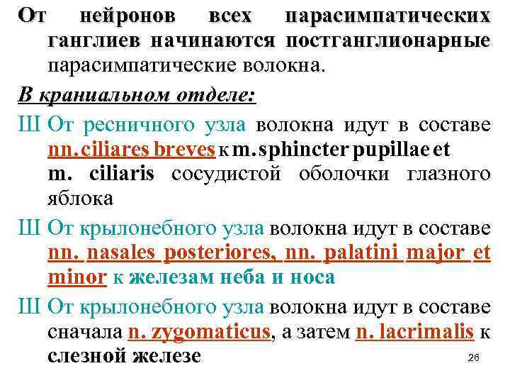 От нейронов всех парасимпатических ганглиев начинаются постганглионарные парасимпатические волокна. В краниальном отделе: Ш От