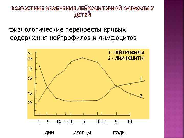 физиологические перекресты кривых содержания нейтрофилов и лимфоцитов 1 - НЕЙТРОФИЛЫ 2 - ЛИМФОЦИТЫ %
