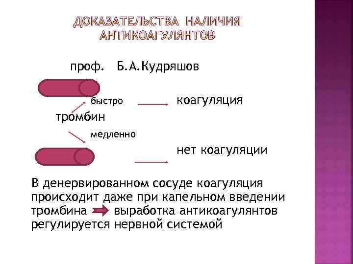 проф. Б. А. Кудряшов быстро коагуляция тромбин медленно нет коагуляции В денервированном сосуде коагуляция